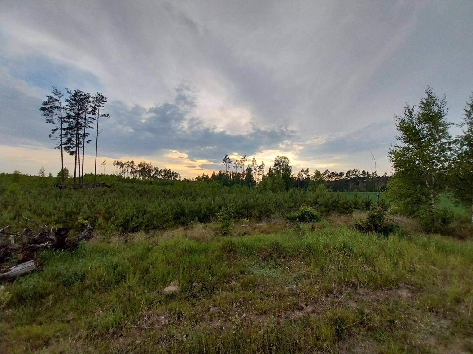 Wypoczynek Kocia Gora Villa Dziemiany Exterior photo