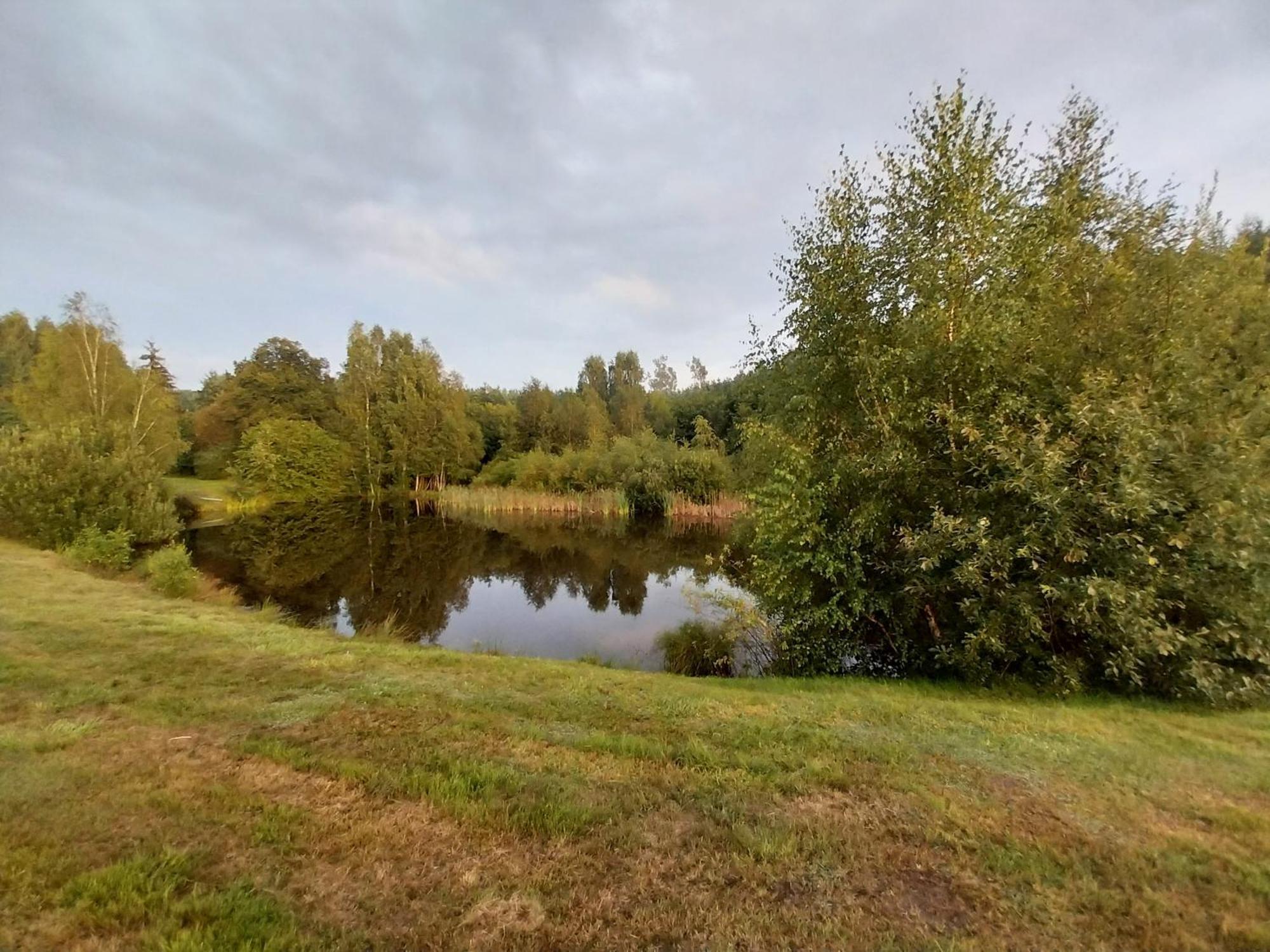 Wypoczynek Kocia Gora Villa Dziemiany Exterior photo